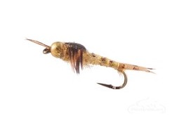 Biot Epoxy Stonefly Nymph Bead Head Golden