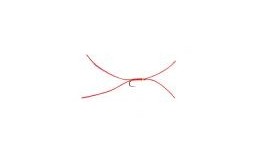 BL Holo Apps Bloodworm Nugget