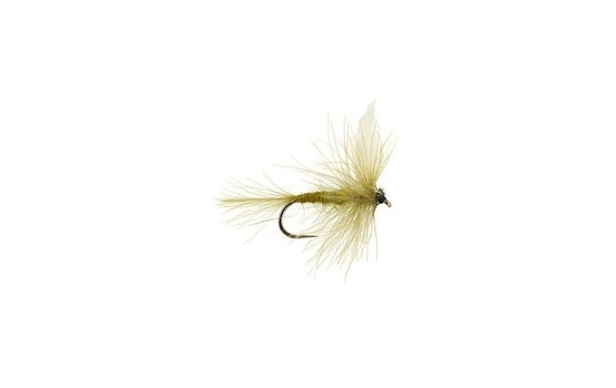 CDC Blue Winged Olive Dry