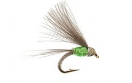 CDC Bwo Emerger