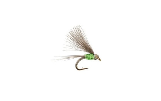 CDC Bwo Emerger