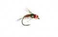 BL Tungsten Red Collar Leggy PT