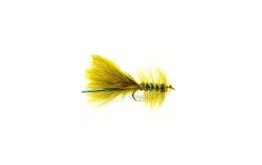 Blue Gold Nugget Damsel