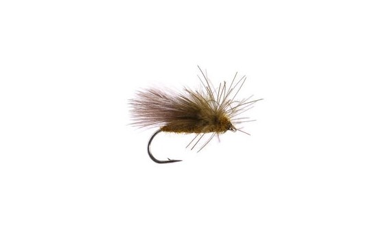 CDC Caddis Olive