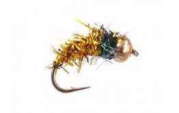 Bright Golden Nymph