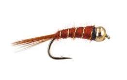 Brown Basic BH Nmyph