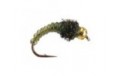 Caddis Larve Olive