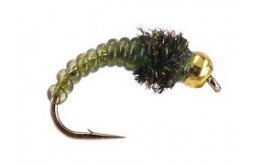 Caddis Larve Olive