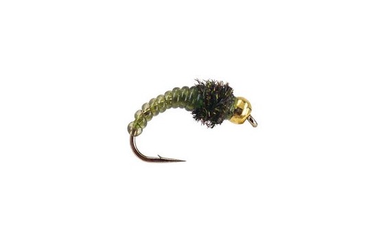 Caddis Larve Olive