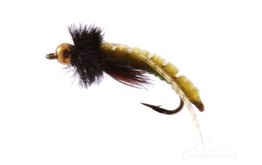 Caddis Poopah Bead Head Olive