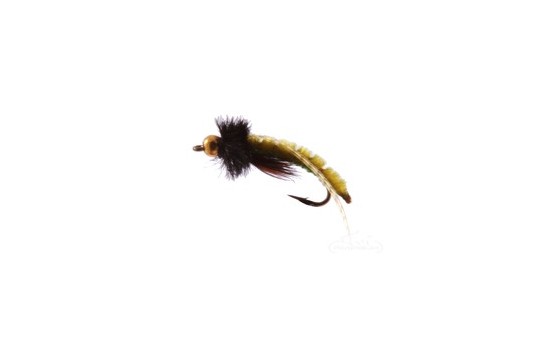 Caddis Poopah Bead Head Olive