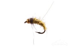 Caddis Pupa Bead Head Olive Hares Ear