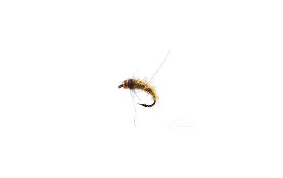 Caddis Pupa Bead Head Olive Hares Ear