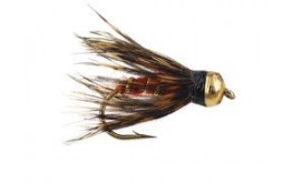 Caddis Pupa Brown