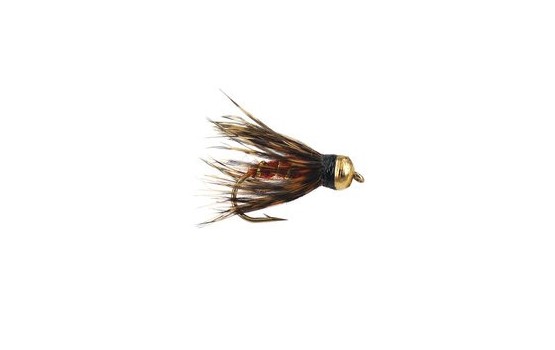 Caddis Pupa Brown