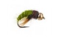 Caddis Pupa Olive