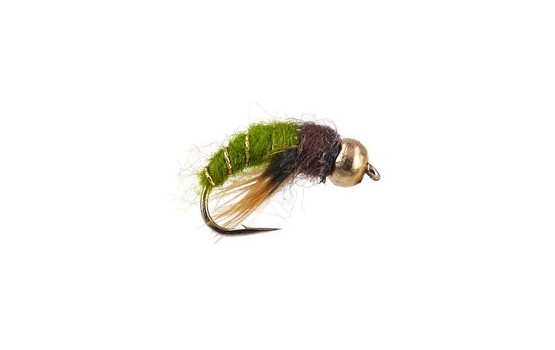 Caddis Pupa Olive