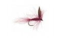 CDC Claret Winged Dry