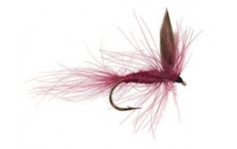 CDC Claret Winged Dry