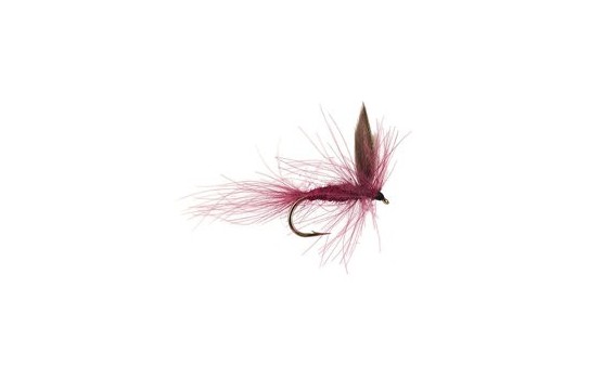 CDC Claret Winged Dry