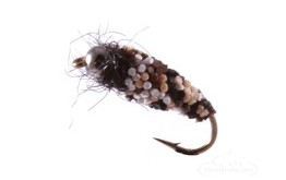 Caddis Rock Roller Bead Head