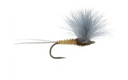 CDC Comparadun Green Drake