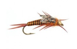 Copperback Stone   Copper