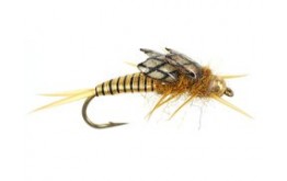 Copperback Stone   Gold