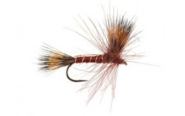 CDC Dry Brown
