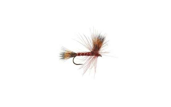 CDC Dry Brown