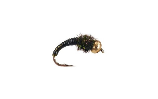 Dark Caddis Larva