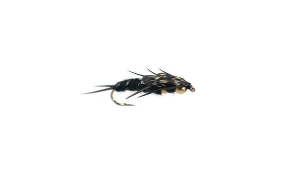 Double BH Black Stonefly