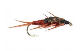 Double BH Brown Stonefly