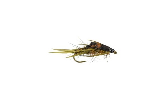 Double BH Rough Olive Stonefly