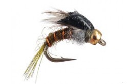 Downeys Master   Baetis