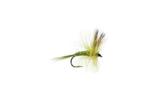 CDC Dry Pale Olive