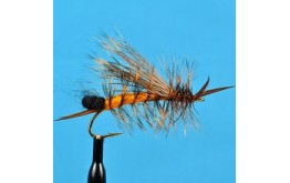 Egg Laying Stone Orange