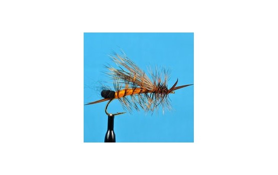 Egg Laying Stone Orange