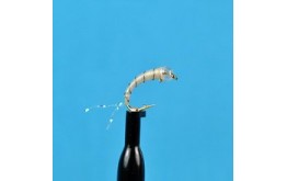 Glass Bead Zebra Midge White