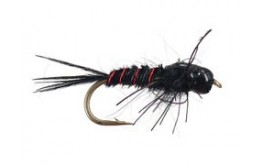 Hills Nympho maniac   Black