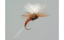 CDC Flash Klinkhammers Brown