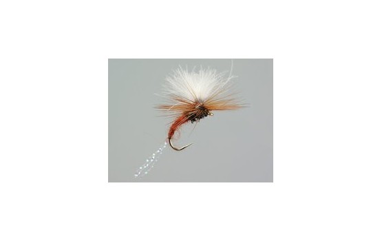 CDC Flash Klinkhammers Brown