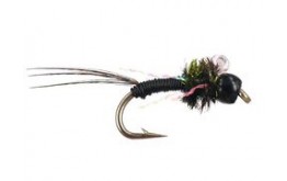 Keglers Sin City   Black