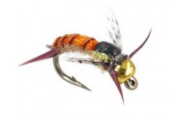 Kyles BH C N Yellow Sally