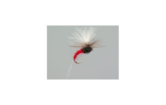 CDC Flash Klinkhammers Red