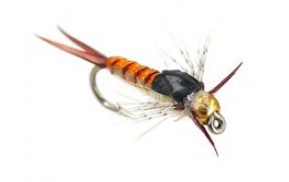 Kyles BH Yellow Sally