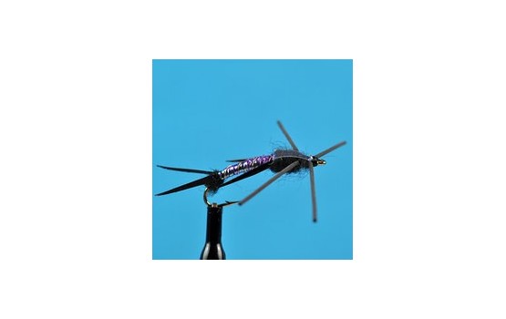 Lighting Stone Fly Purple