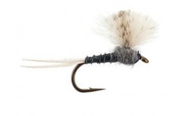 CDC Grey Baetis