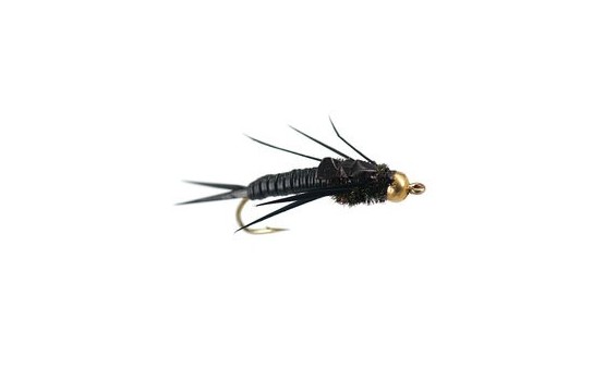 Marks Simple Black Stonefly