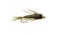 Marks Simple Olive Stonefly